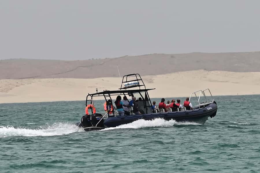 Boavista: Whale Watching half day trip - Weather, cancellations, and the best time to go