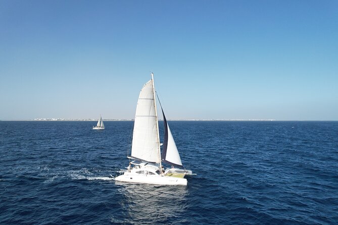 Catamaran Half Day - Beautiful day on the Atlantic Ocean - Is $68.36 good value for three hours?