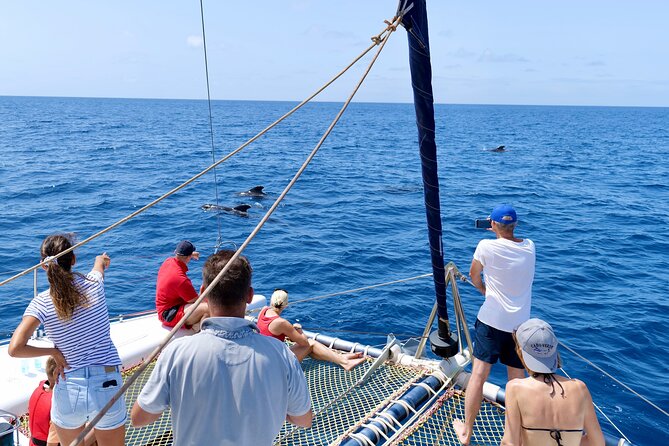 Catamaran Half Day - Beautiful day on the Atlantic Ocean - Swimming and snorkeling near the boat