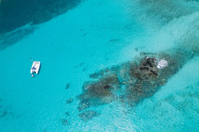 Catamaran Sailing Tour or Whale Watching at Boa Vista - Five things to know before you book