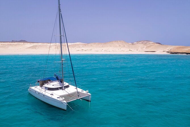 Catamaran Sailing Tour or Whale Watching at Boa Vista - Timing, weather, and what to bring