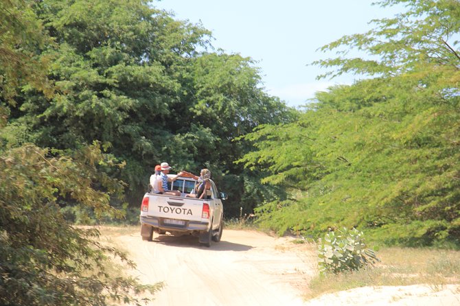 Combi Relax Tour - Guides, drivers, and the small-group advantage