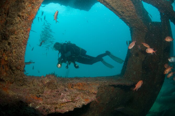 Discover Scuba Diving in Sal - Why this Sal experience works for beginners