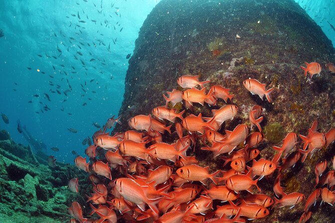 Discover Scuba Diving in Sal - The small-group advantage