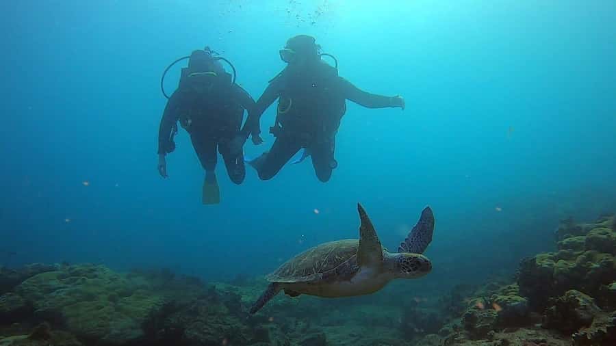 Discover Scuba Diving Program for Beginners - Meeting the instructor and learning the gear