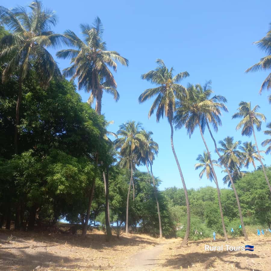 Discover the Black Sand Beach+the Natural Pool - Who will enjoy this outing most