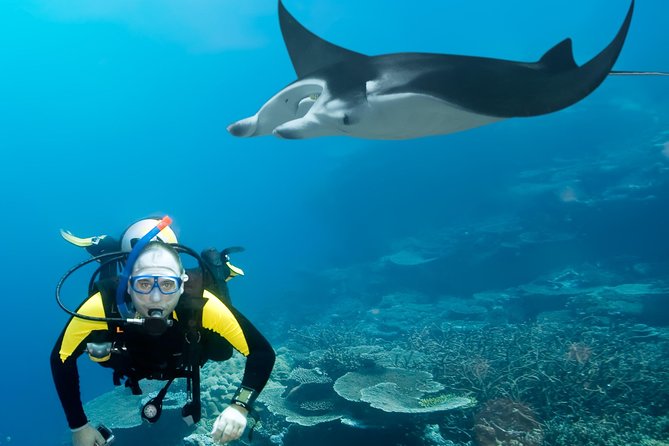 Double Diving in Sal Island - Half Day - Equipment, certification, and extra costs