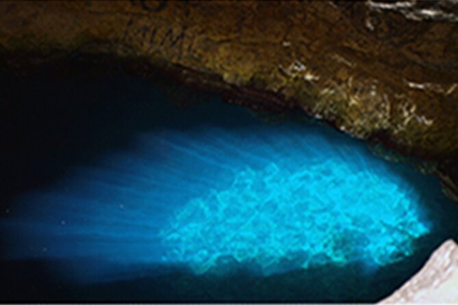 Experience on Sal Island with native and certified guide (including sharks) - Pedra de Lume village and Sal’s salt economy