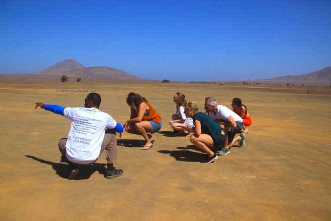 Experience on Sal Island with native and certified guide (including sharks) - Shark Bay and the lemon sharks