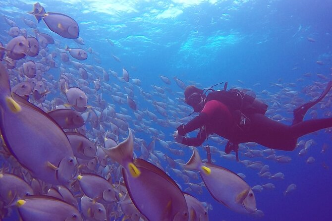First Diving Experience Try Dive - Entering Sal’s Reefs With an Instructor