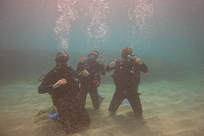 First Diving Experience Try Dive - Who Should Book This First Underwater Session?
