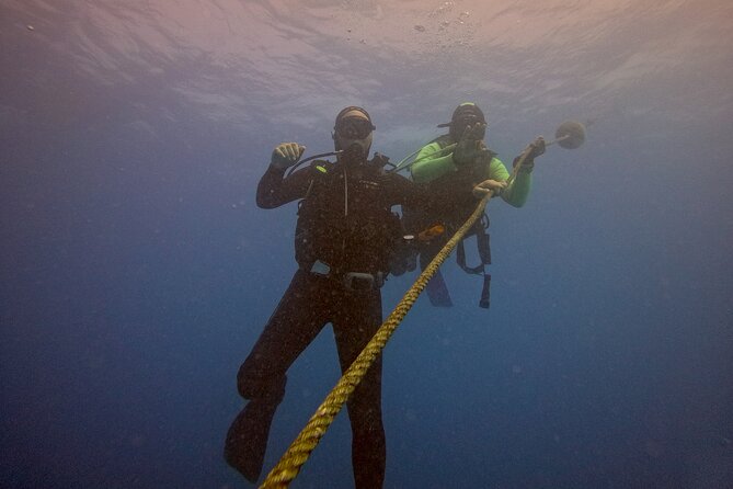 First Diving Experience Try Dive - My Practical Verdict on the Sal Try Session