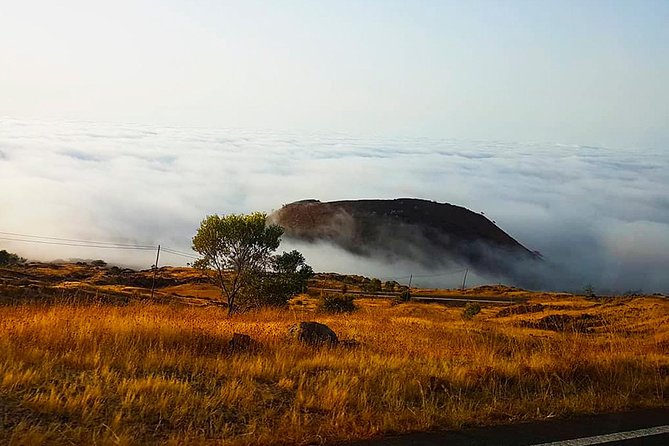 Fogo Island: Spectacular Vulcano HIking Experience(2829 m) - What the $51.31 price really covers