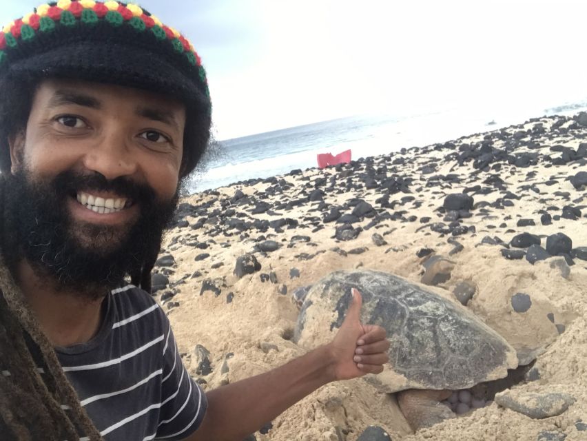 From Boa Vista: Turtle Watching and Nesting Evening Tour - Who will enjoy this tour most