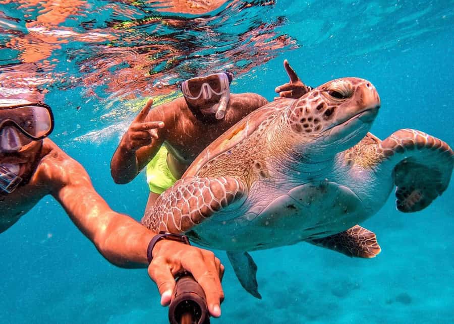 From Mindelo: São Vicente's Enchanting Sea Turtle Snorkeling - The short boat ride to the turtle area