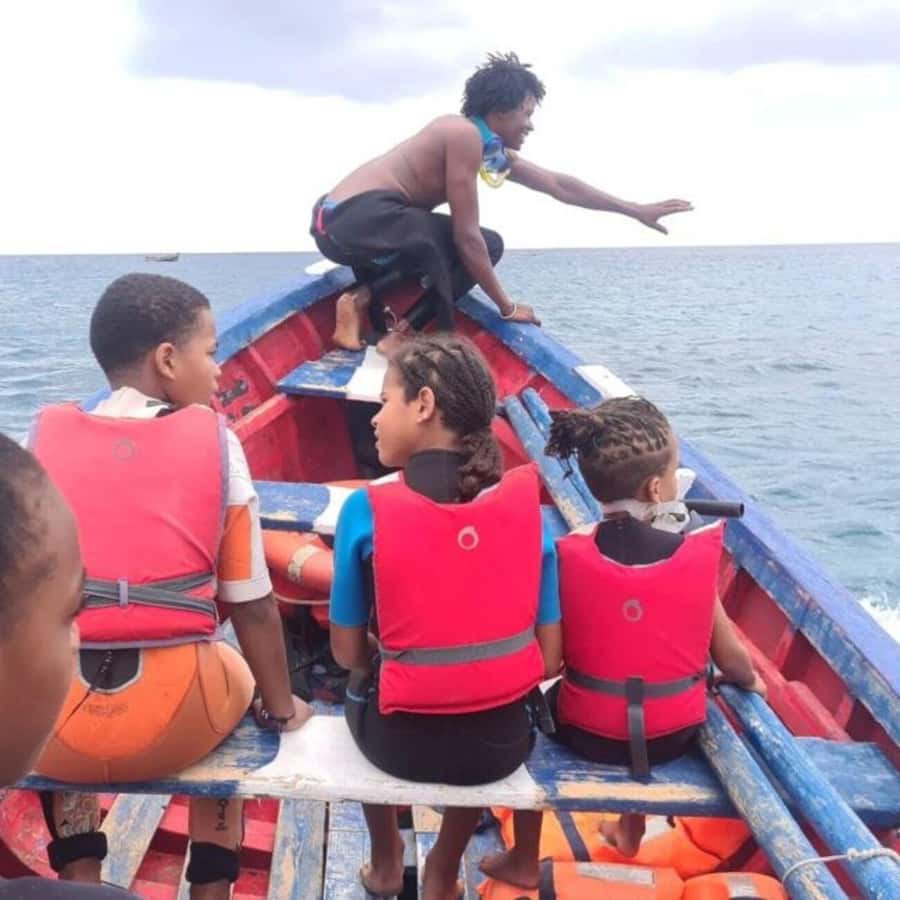 From Mindelo: Snorkel and Swim with Sea Turtles - The quick facts that matter most