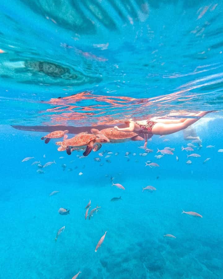 From Mindelo: Snorkel and Swim with Sea Turtles - From Mindelo to São Pedro Beach