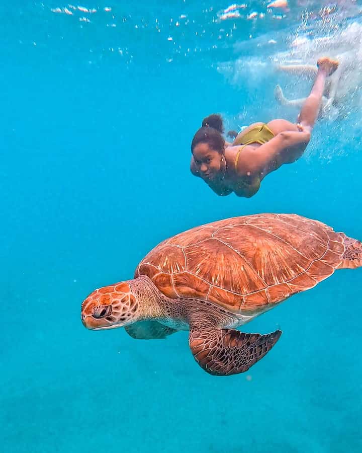 From Mindelo: Snorkel and Swim with Sea Turtles - Meeting the turtles near São Pedro