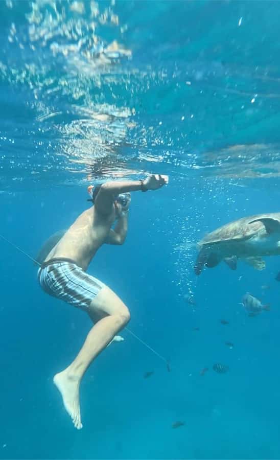 From Mindelo: Snorkel and Swim with Sea Turtles - Cold water and what to bring