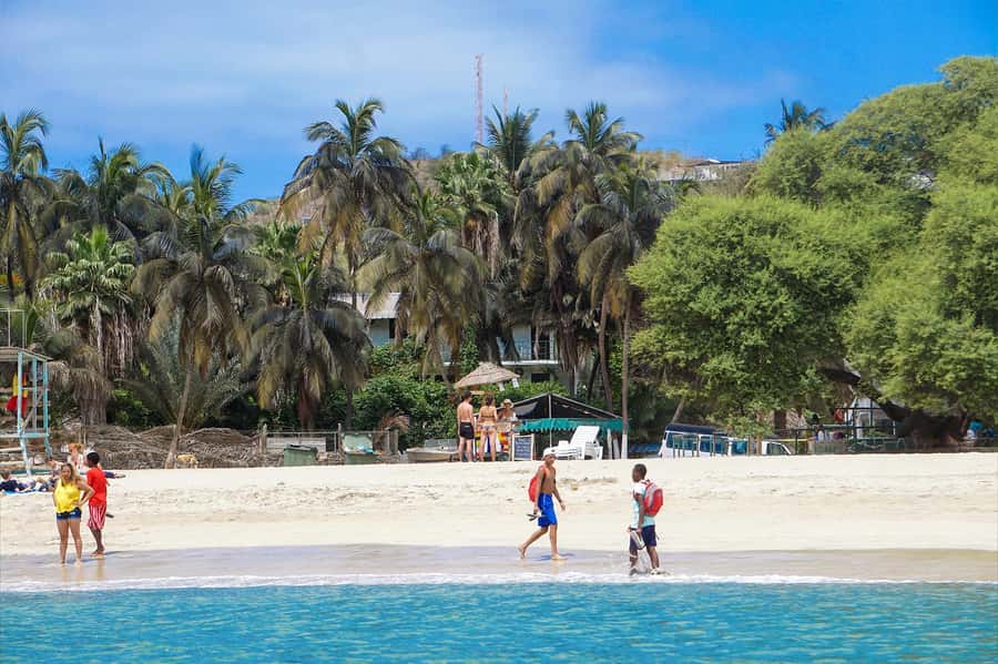 From Port of Praia: Island Tour for Cruise Ship passengers - Picos, Santa Catarina, and the mountain road