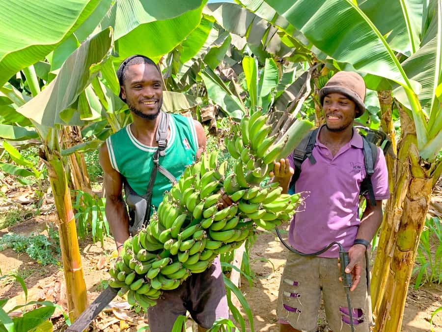 From Praia: Banana Plantation Tour and Cuscuz Workshop - Key points at a glance