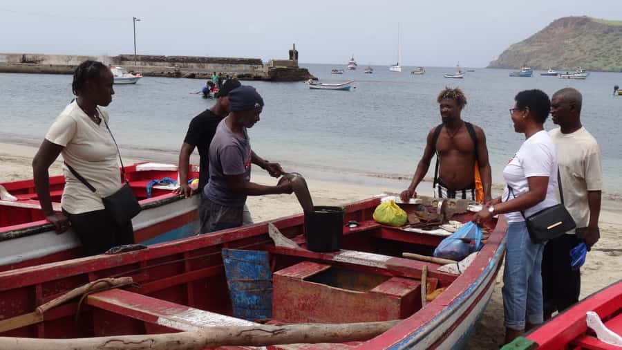 From Praia: Explore the island with local Tour guide - Serra Malagueta brings the highest views