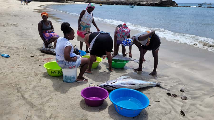 From Praia: Explore the island with local Tour guide - The east coast return adds villages and Atlantic views