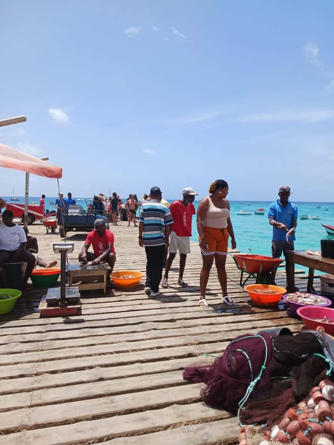 From Sal Island: Blu eye, Salt lake, Lemon Sharks & Palmeira - The guides make the long day work