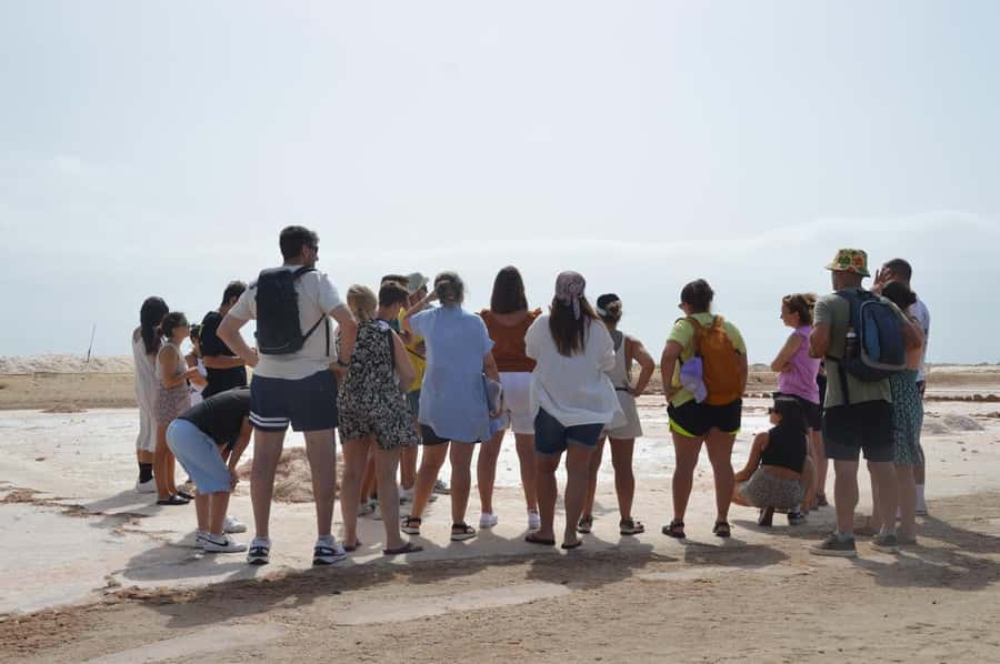 From Sal Island: Blue Eye, Salt Lake, Lemon Sharks, Palmeira - Quick points before you book