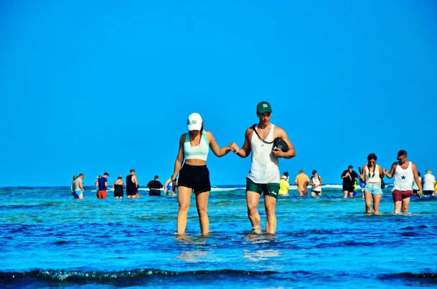 From Sal Island: Blue Eye, Salt Lake, Lemon Sharks, Palmeira - Terra Boa and the island’s famous mirage