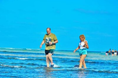 Blue Eye, Salt Lake, Lemon Sharks, Palmeira