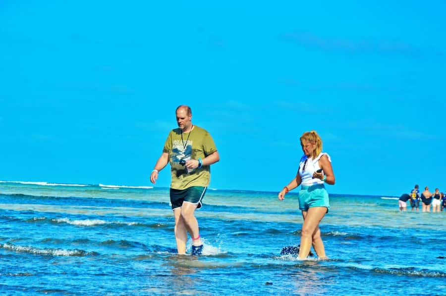 From Sal Island: Blue Eye, Salt Lake, Lemon Sharks, Palmeira - Starting in Santa Maria and heading toward Murdeira Bay
