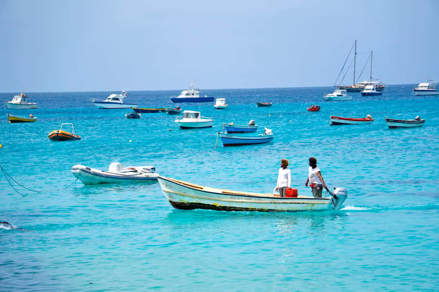 From Santa Maria: Sal Island Private Day Trip - Palmeira offers a taste of island life