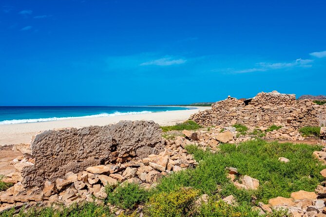 Full Day Boa Vista Island Guided 4X4 Tour with Beachfront Lunch - Why This 8-Hour Tour Works Well on Boa Vista