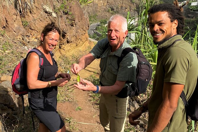 Full-Day Island Tour in Santo Antão with Lunch Included - Cova Crater and its wetter mountain world