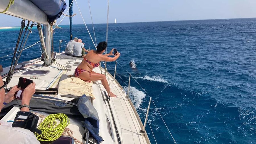 Full day sailing boat in Sal, Cape Verde:taste the Atlantic! - Key points to know before sailing