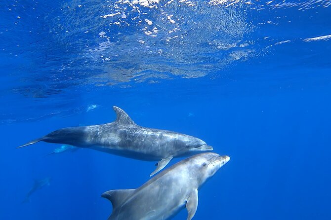 Full day Sailing yacht - Beautiful day on the Atlantic Ocean - Lunch on board, with drinks flowing