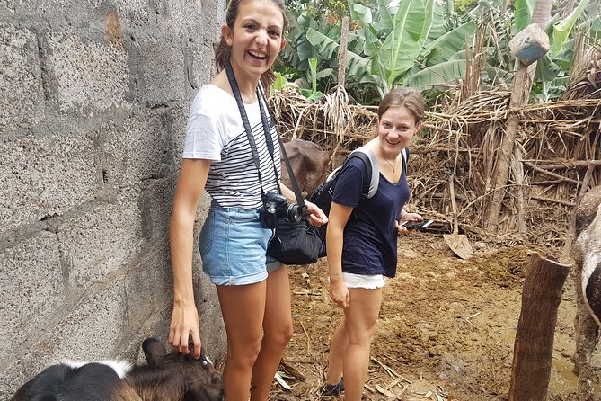 Full Day Santiago Island Tour - Assomada Market: a useful first look at daily life