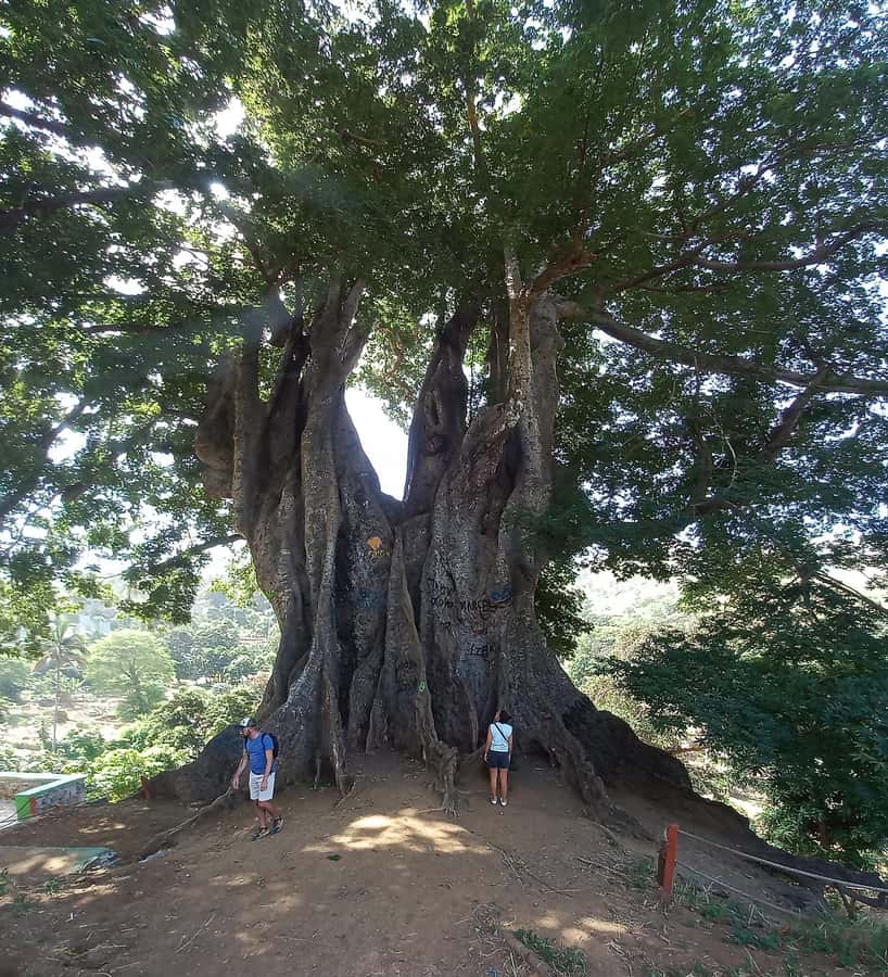 Full-Day Santiago – Villages, Nature & Local Culture - Key points to know before booking