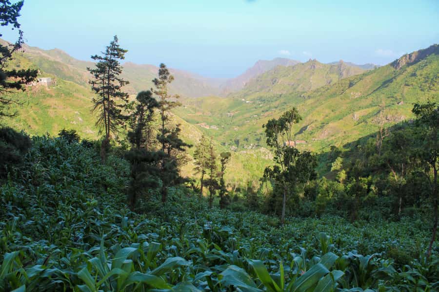Full-Day Santiago – Villages, Nature & Local Culture - Santa Cruz and the Pedra Badejo plantations