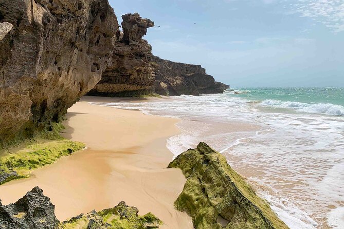 Full Day South to Southwest Exploration in Boa Vista Island - Key points to know before you book