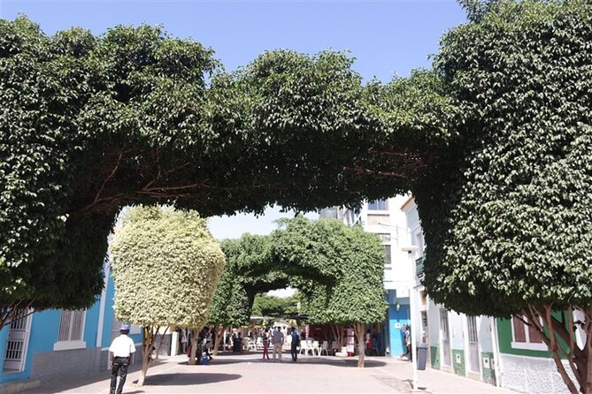 Guided city Tour Praia, Highlights tour - Quartel Jaime Mota and the city’s defensive past