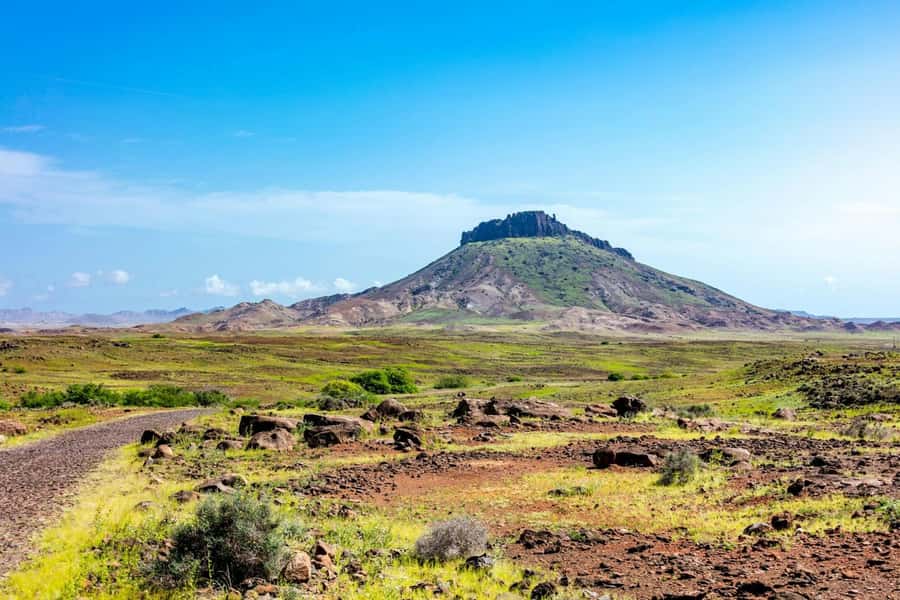 Half Day 4x4 Tour with Viana Desert and Villages - The guide can shape the whole morning