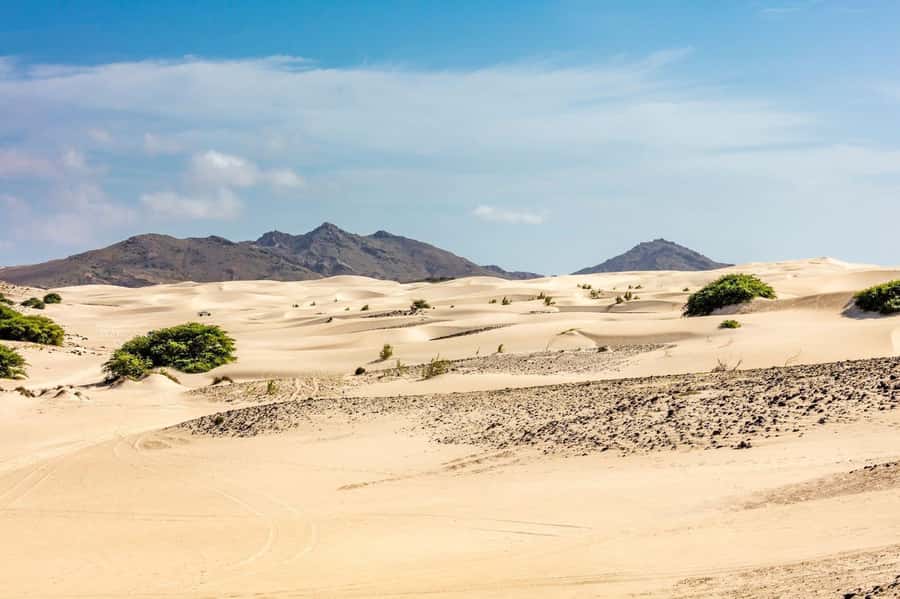 Half Day 4x4 Tour with Viana Desert and Villages - Rabil and the worn Church of Saint Roque