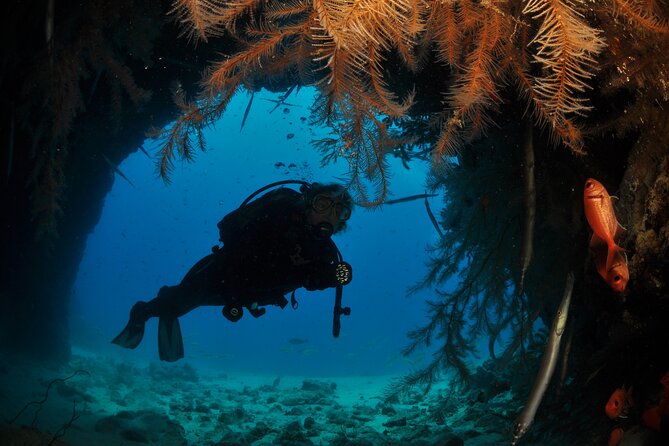 Half-Day Diving in Sal - Key points before you book