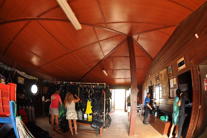Half-Day Diving in Sal - What makes Sal’s underwater outing worthwhile