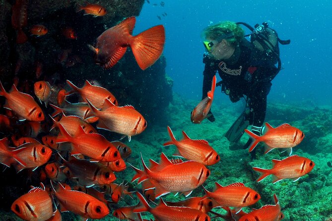 Half-Day Diving in Sal - Two sessions with different depths