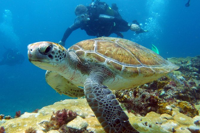 Half-Day Diving in Sal - Meeting the team at Santa Maria
