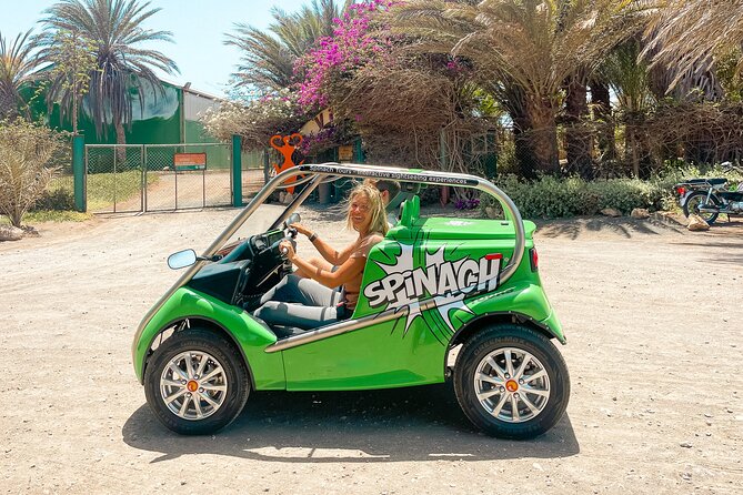Half-day Electric Car Rental in Santa Maria - The audio guide adds more than directions