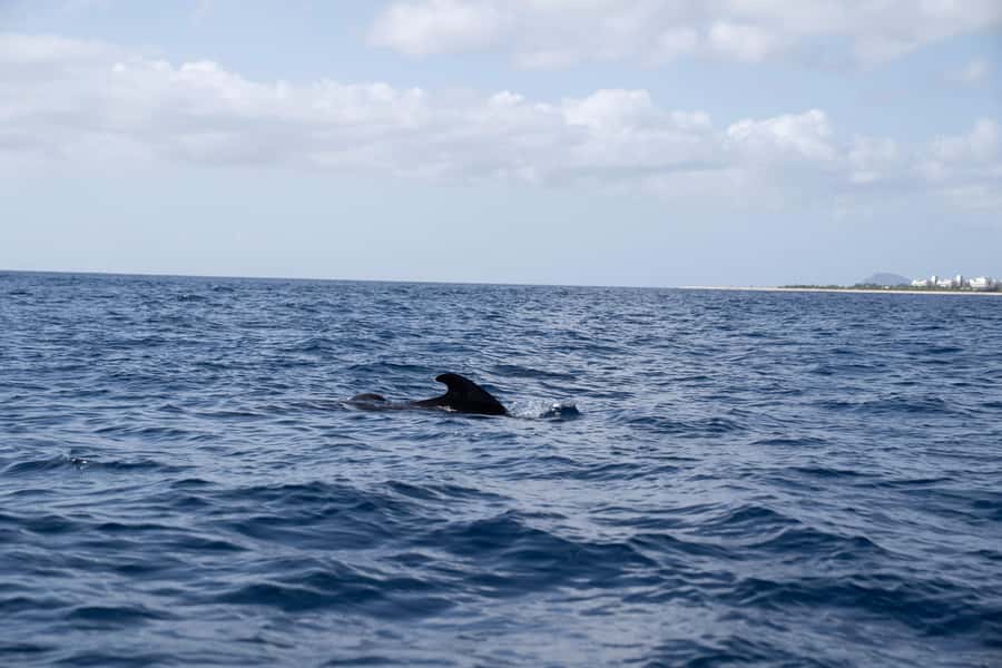 Half-Day Sailing Yacht Adventure in Sal Island - 3 hours - Three Hours Along Sal’s Southwest Coast